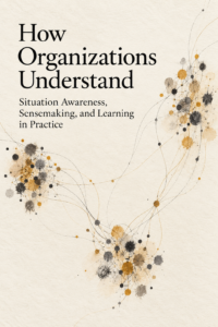 How Organizations Understand